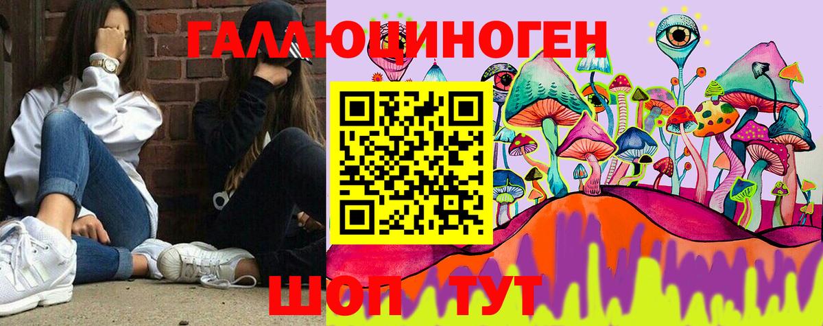Псилоцибиновые грибы GOLDEN TEACHER Кисловодск