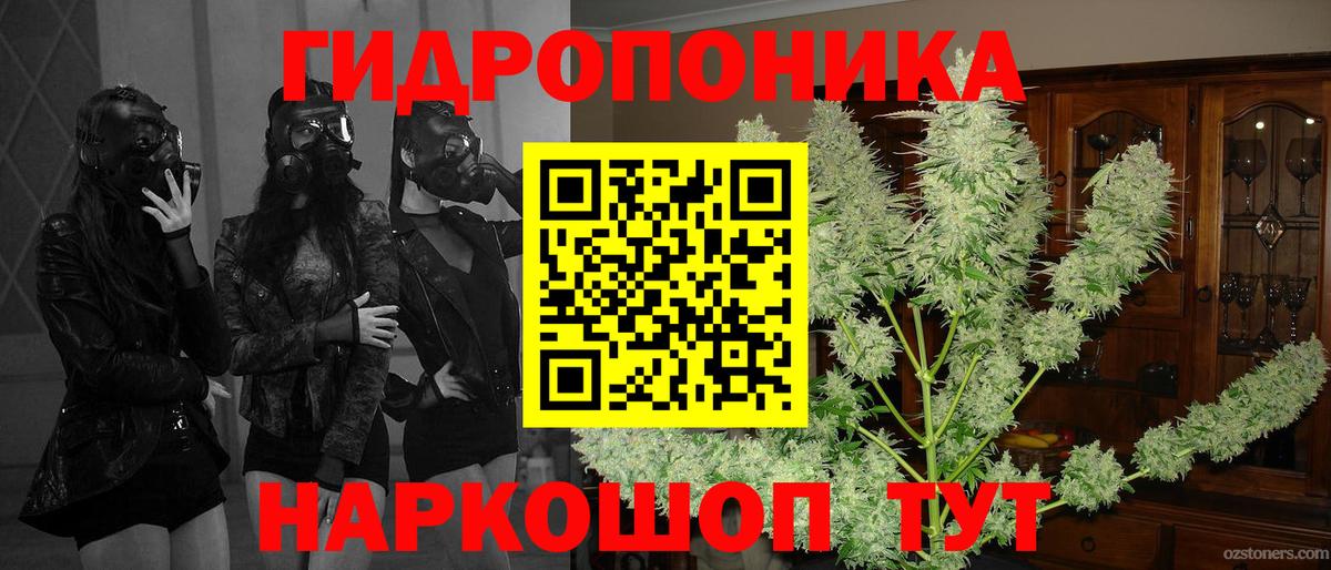 МАРИХУАНА MAZAR  Вход с VPN  Каннабис тримм  Кисловодск  Шишки марихуана THC 21% 